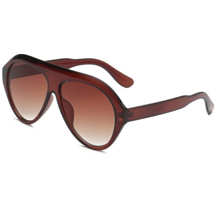 Big Frame Sunshade And Windshield Sunglasses - Image 3