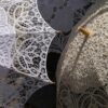 parasol, lace, fashion, parasol, lace, lace, lace, lace, lace